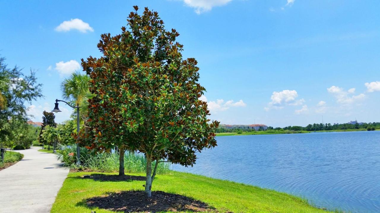 1St Floor Luxury Condo W Free Resort Access Kissimmee Eksteriør billede